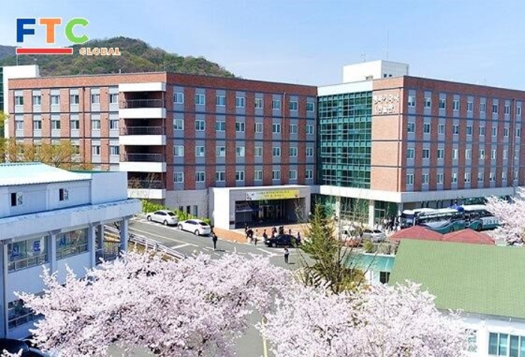 ĐẠI HỌC DAEGU HAANY